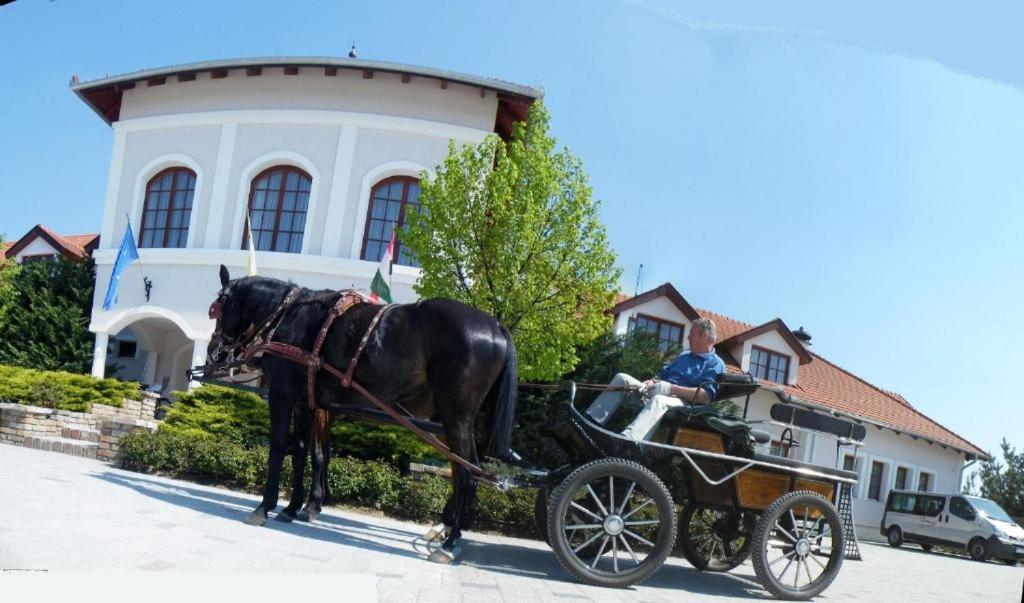 Bodrogi Kuria Wellness Hotel Inárcs Zewnętrze zdjęcie